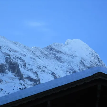 Chalet Wattertanna Διαμέρισμα Γκρίντελβαλντ