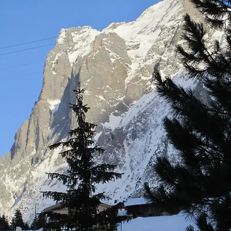 Chalet Wattertanna * Γκρίντελβαλντ